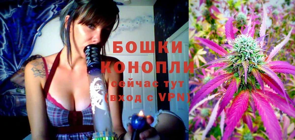 MESCALINE Каменка
