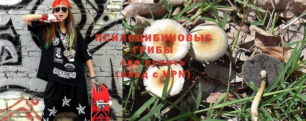 MESCALINE Каменка